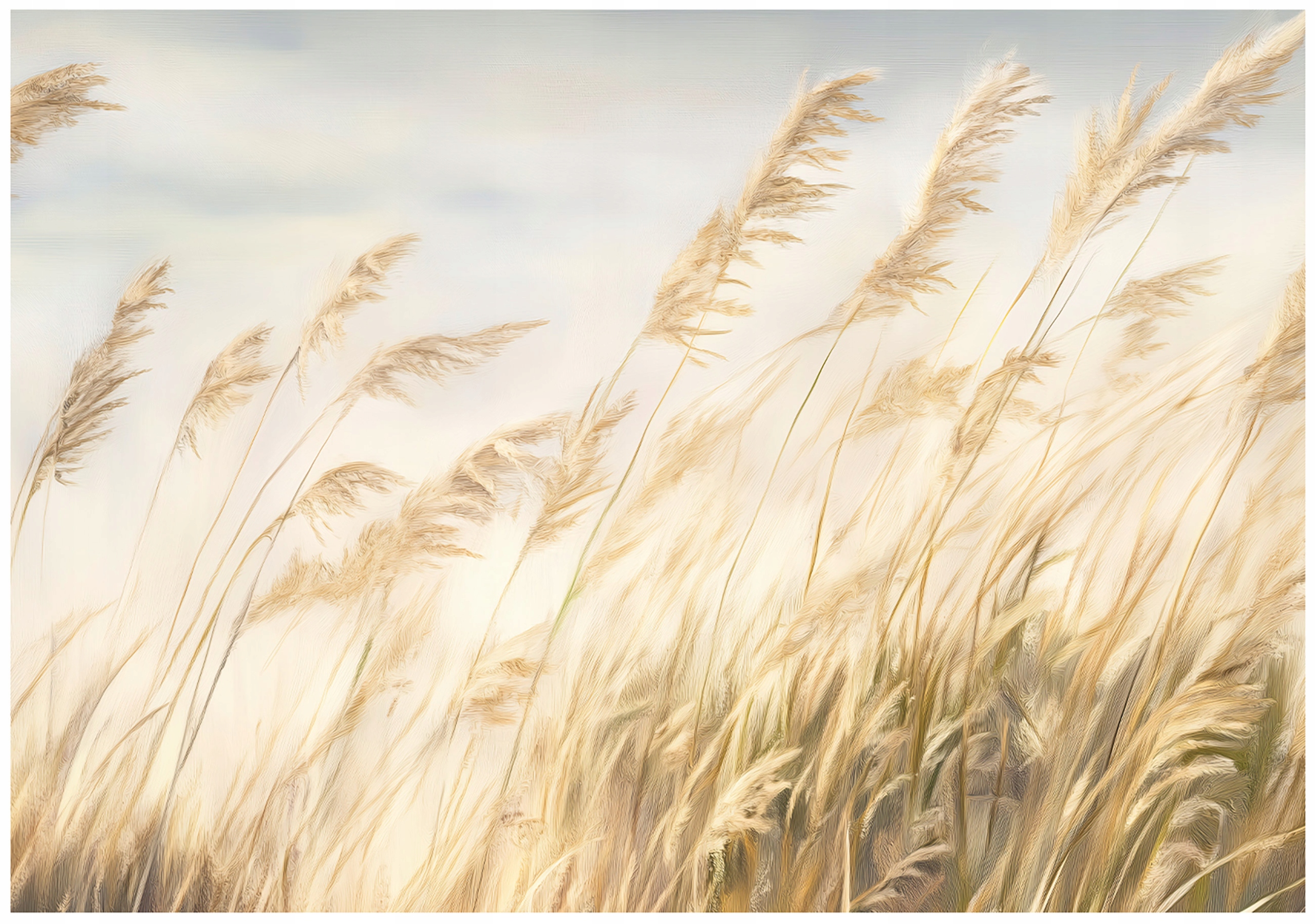Pampas Grass Wall Mural – Nature-themed Wallpaper for Bedrooms and Living Rooms (Non-woven, 150x105)