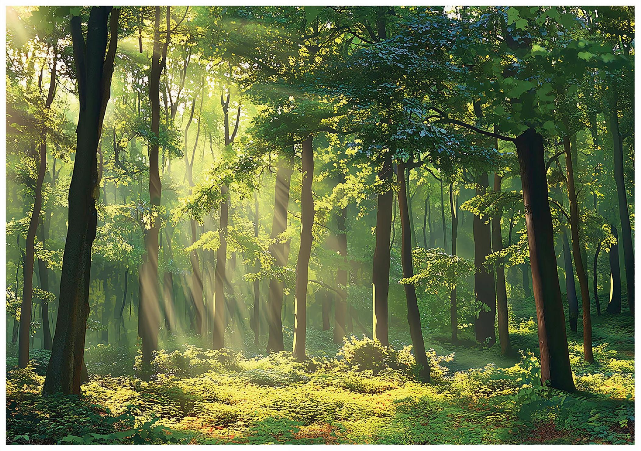 Forest wall mural Sun on non-woven fabric kitchen bedroom living room wallpaper
