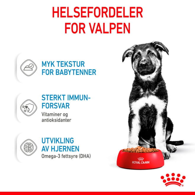Royal Canin Maxi Puppy Gravy våtfôr til valp 10x140g