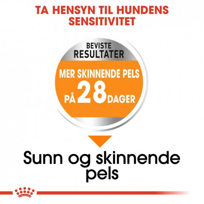 Royal Canin Coat Care Mini Adult tørrfôr til hund