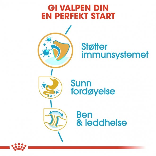 Royal Canin Bulldog Puppy tørrfôr til hundevalp