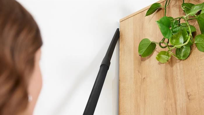 BOSCH - Aspirapolvere a traino BGB41PET1-Nero, Rosso