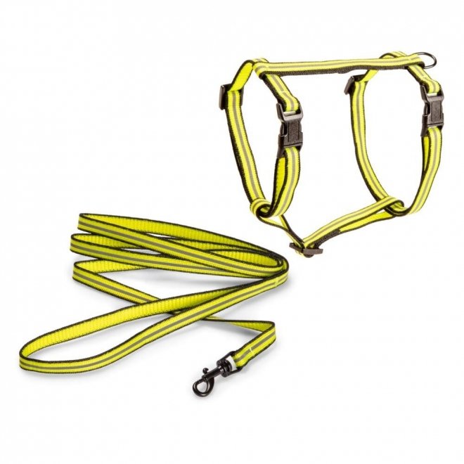 Basic Cat Reflective Kattesele + Kobbel