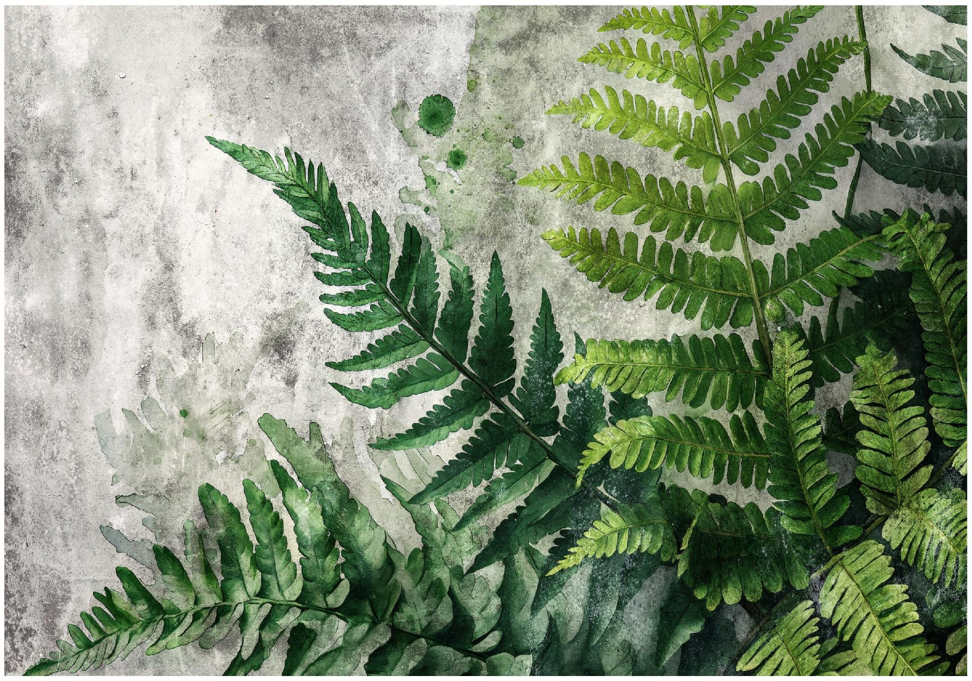 Green fern leaves concrete wall mural for the bedroom or living room