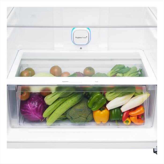 LG - Frigorifero 2 porte GTB744BMBED Classe E 509L-Nero