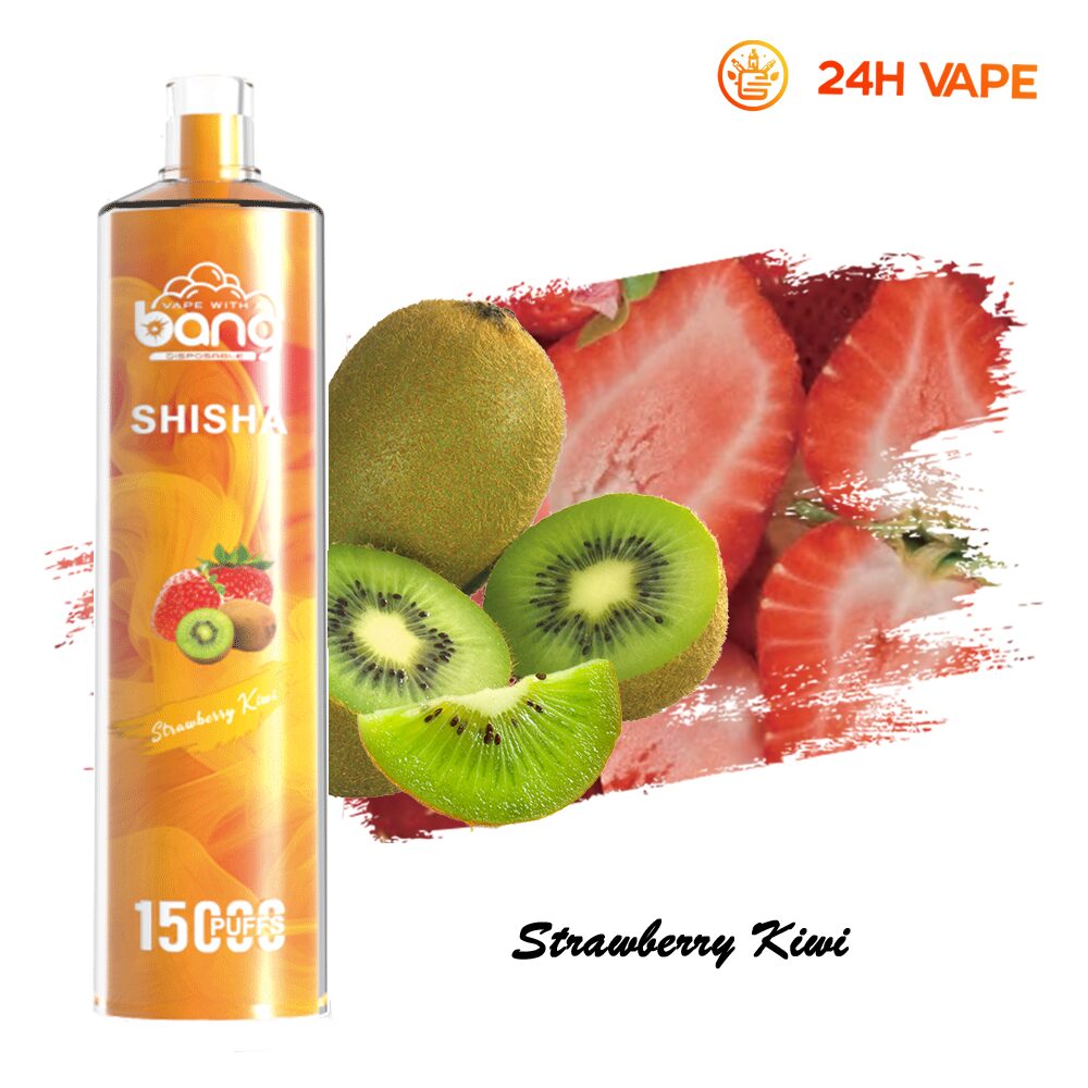 （3 pieces）Bang SHISHA 15000 Puffs Direct To Lung Disposable Electronic Cigarette New Vape Pen
