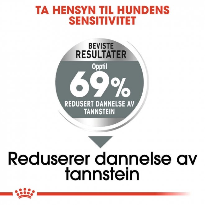 Royal Canin Dental Care Mini Adult tørrfôr til hund