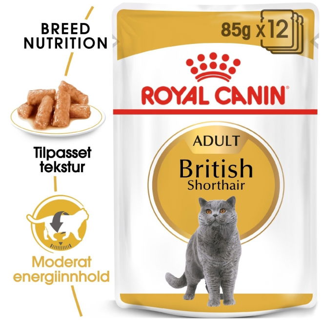 Royal Canin British Shorthair Adult Gravy våtfôr til katt 12x85 g