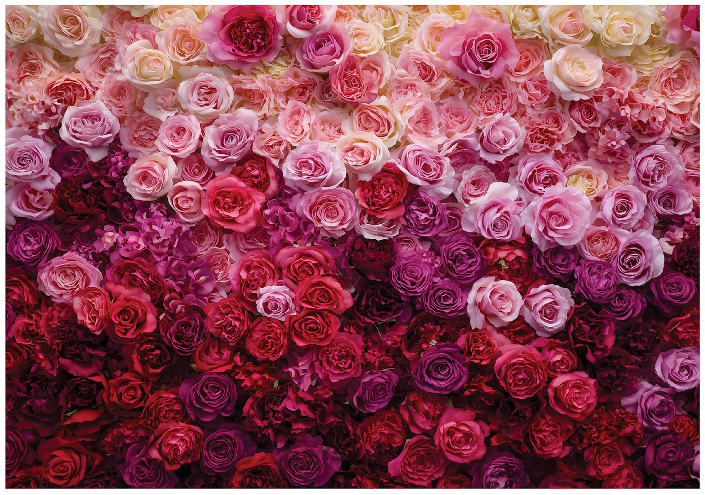 Wall mural roses flowers nature bedroom living room wallpaper non-woven