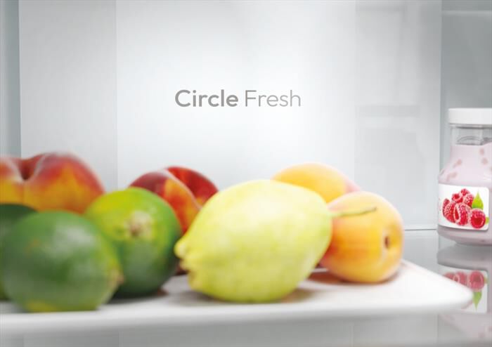 CANDY - Frigorifero combinato CNCQ2T618EX Classe E 355 lt-Stainless steel