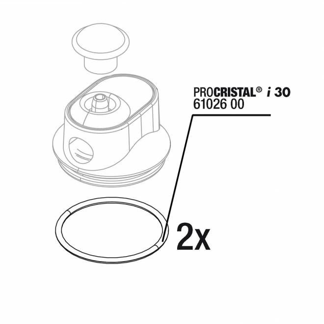 JBL ProCristal i30 O-Ring 2 pk