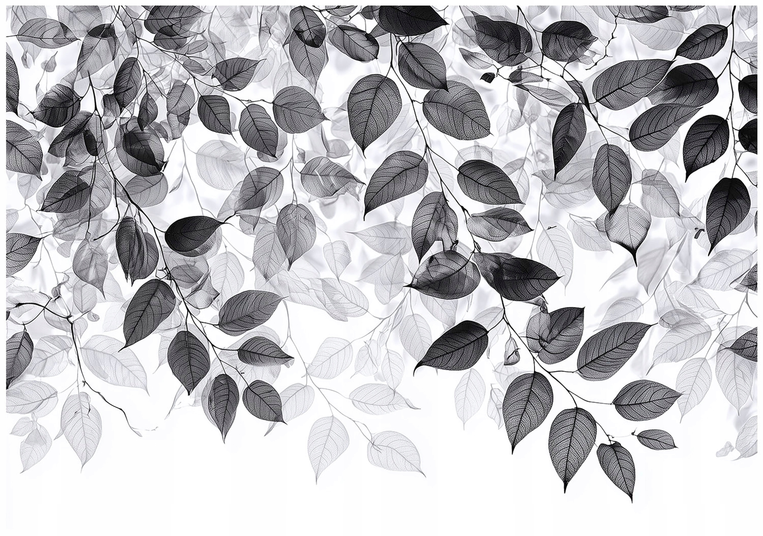 Black and white leaf wall mural for bedroom or living room,
