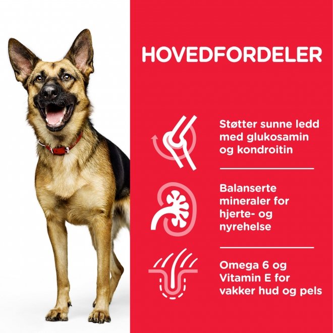 Hill's Science Plan Dog Mature Large Breed Chicken 14 kg