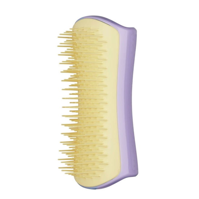 Pet Teezer Detangling Mini Børste lilla