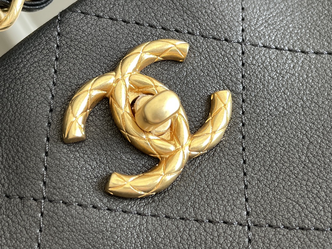 23A Fall-Winter Pre-Collection Hobo Bag in Black Calfskin with Braided Strap & Gold-Tone Hardware (Model AS4210) - Mocuir