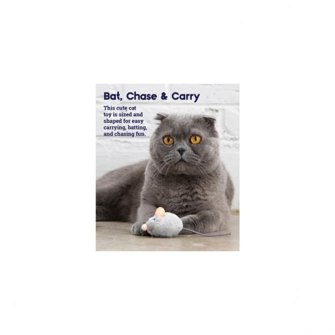 Petstages Squeake Squeake mus med kattemynte