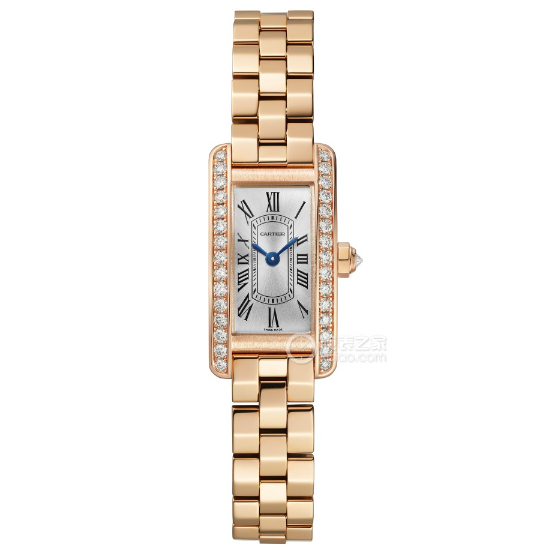 Cartier watch