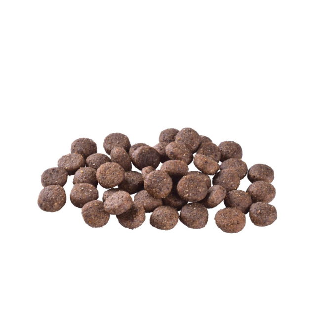 Brit Care Dog Adult Grain Free Salmon