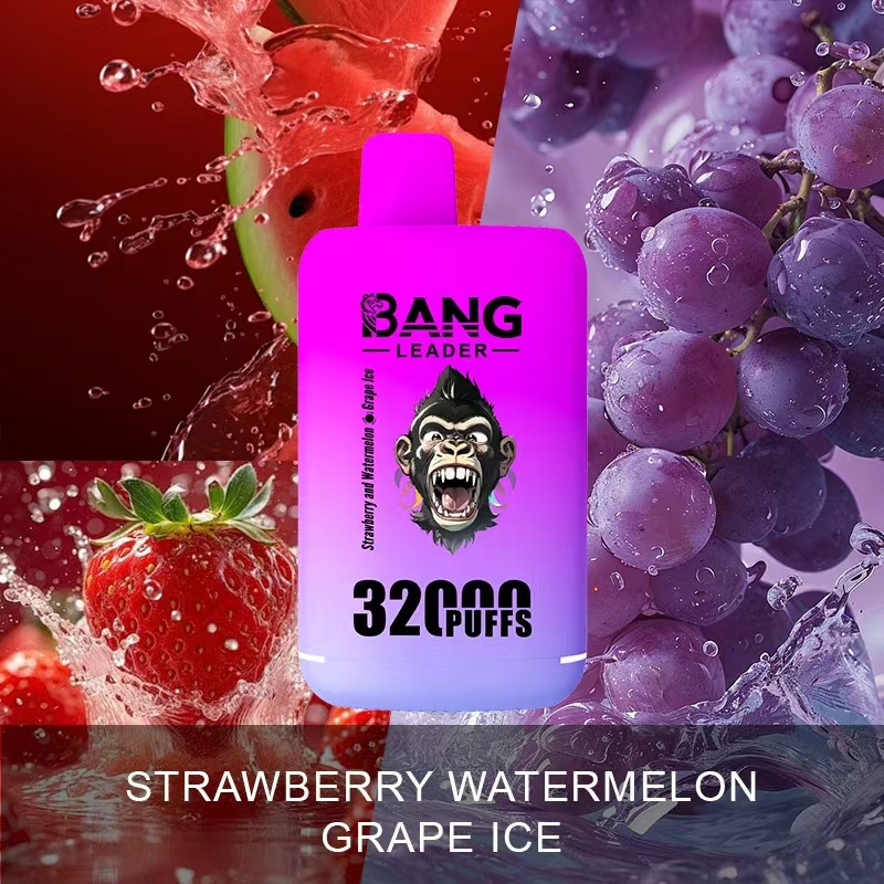 Bang Leader 32000 32k Puffs 2% 3% 5% Nicotine  Double Taste Disposable Vape