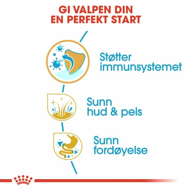 Royal Canin Cocker Puppy tørrfôr til hundvalp