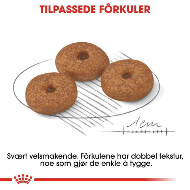 Royal Canin Mini Ageing 12+ tørrfôr til hund