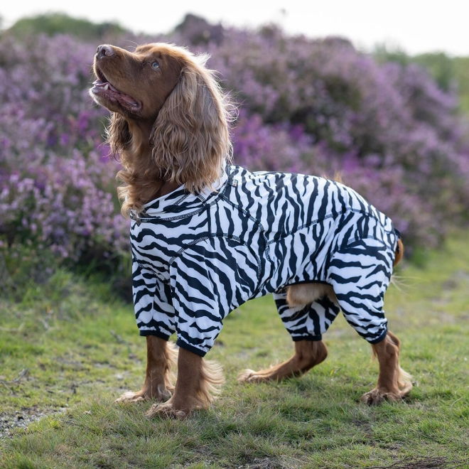 Rukka Zebra Hundoverall Flåttbeskyttende