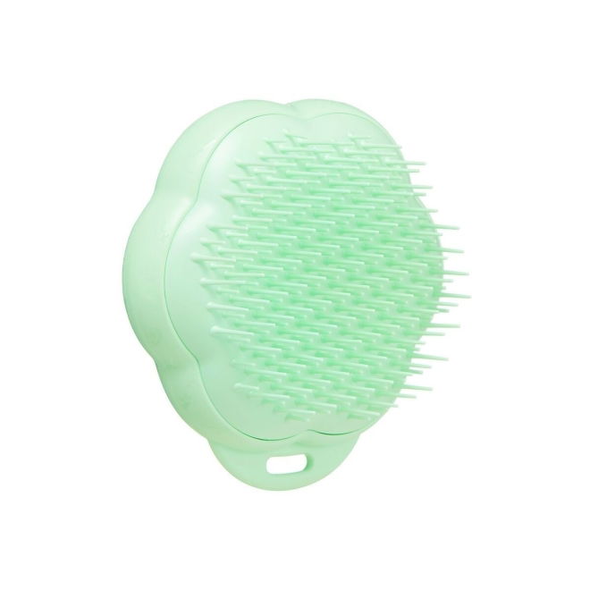 Pet Teezer Kattebørste