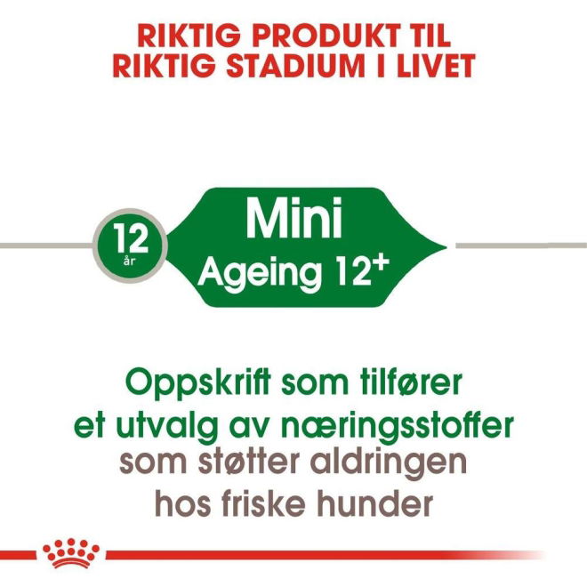 Royal Canin Mini Ageing 12+ tørrfôr til hund