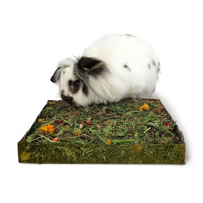 Rosewood Nibble'n'Dig Meadow Engshøy