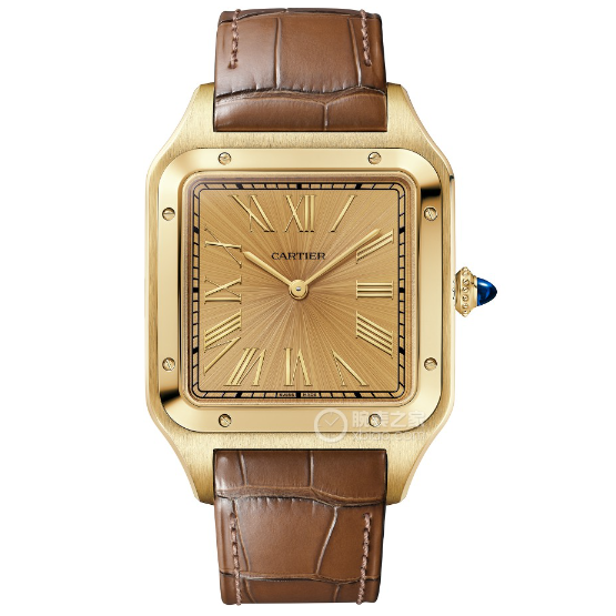 Cartier watch