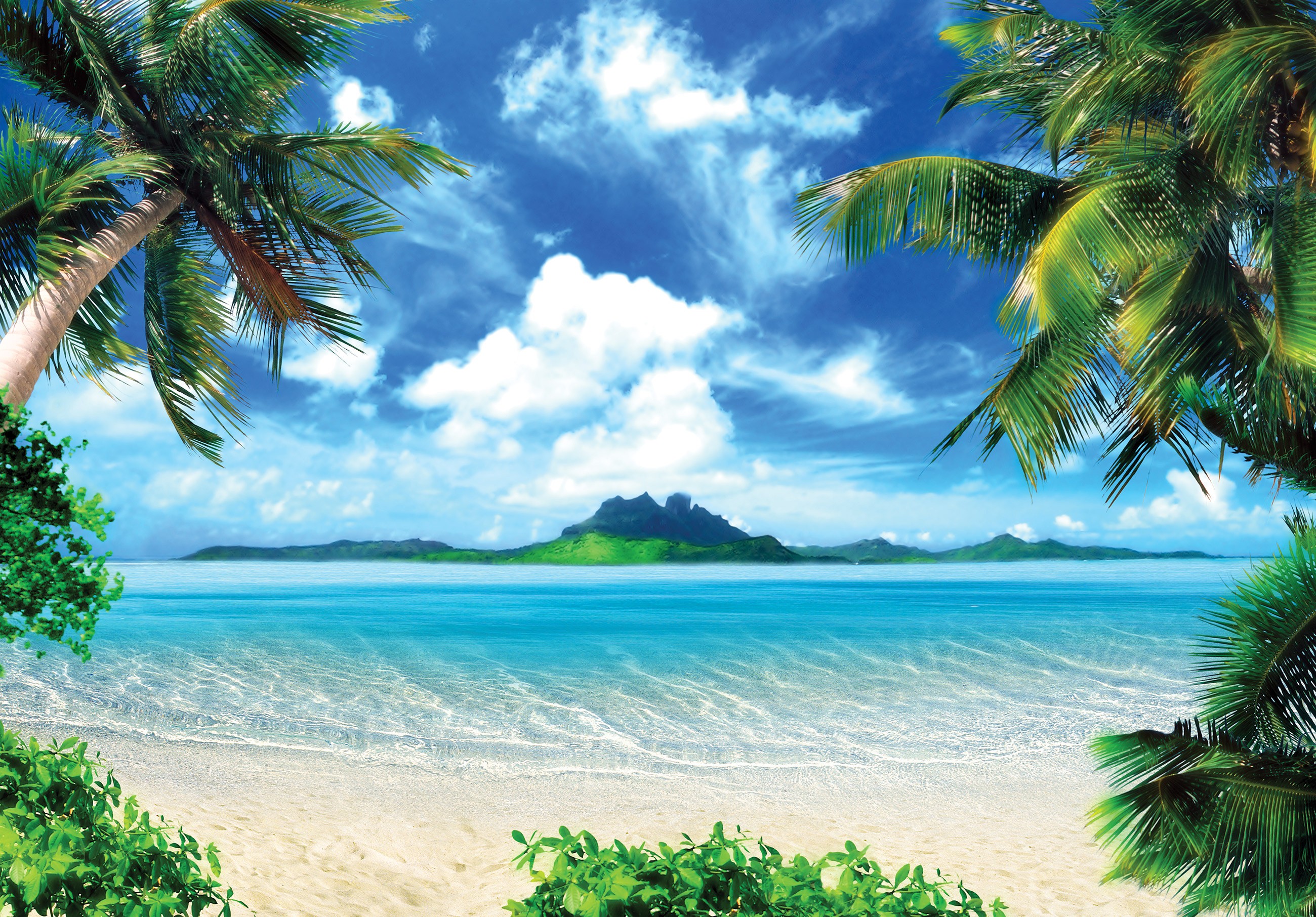 Wall mural tropical beach palms turquoise ocean island