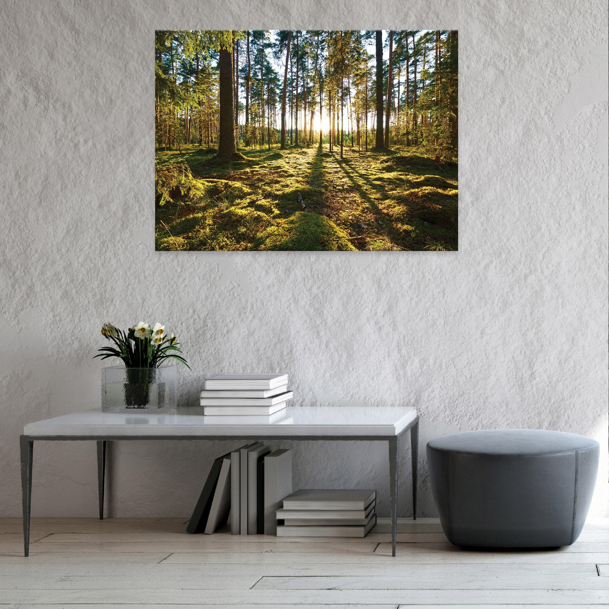 Canvas painting of a forest of trees, large, 60x40