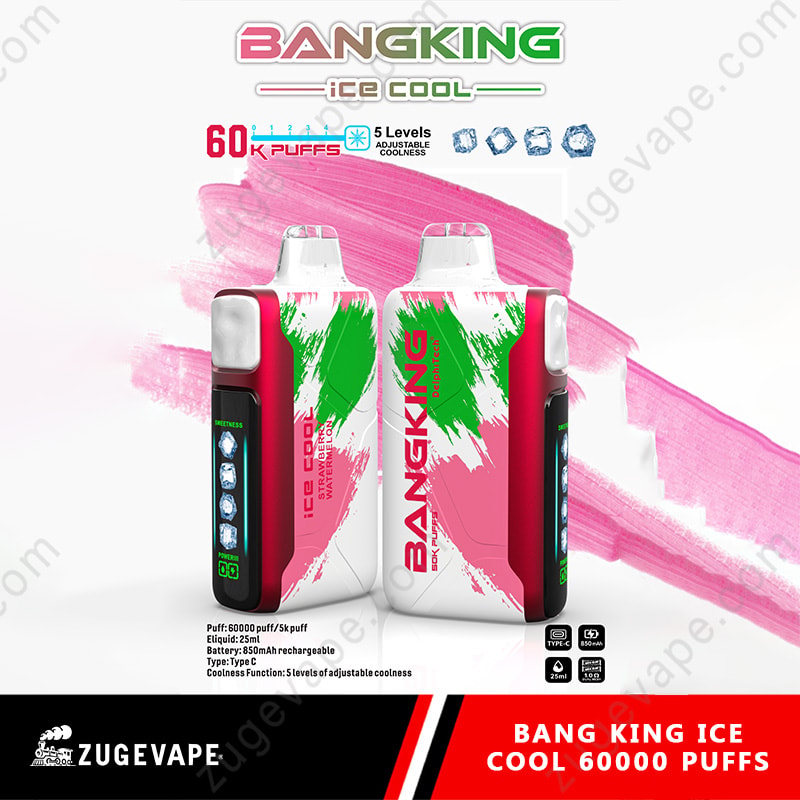 【Hot Sale🔥】Bang King Ice Cool 60000 Puffs 60K Adjustable Coolness Disposable Vape