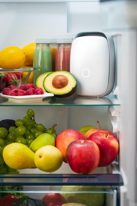 VITESY - Dispositivo smart per frigorifero SHELFY