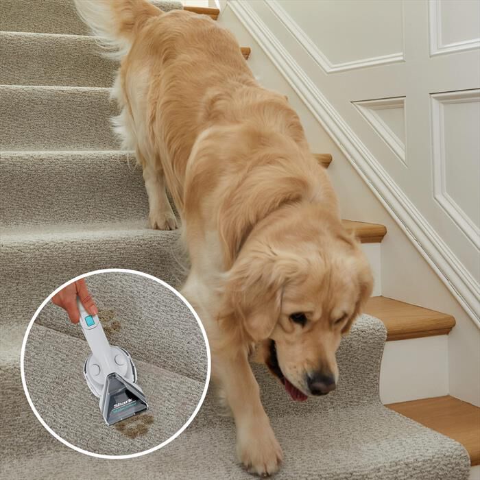 SHARK - SMACCHIATORE PORTATILE STAINSTRIKER PX200EUT-Azzurro/Bianco