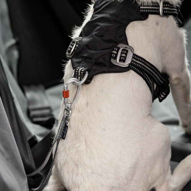 Feel Active heavy duty bilbelte til hund