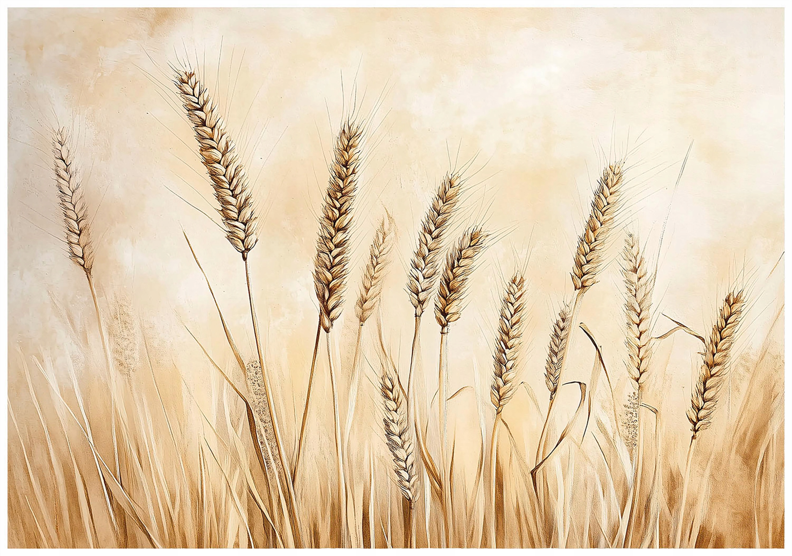 Boho wall mural, beige field, nature, bedroom, living room, non-woven wallpaper,