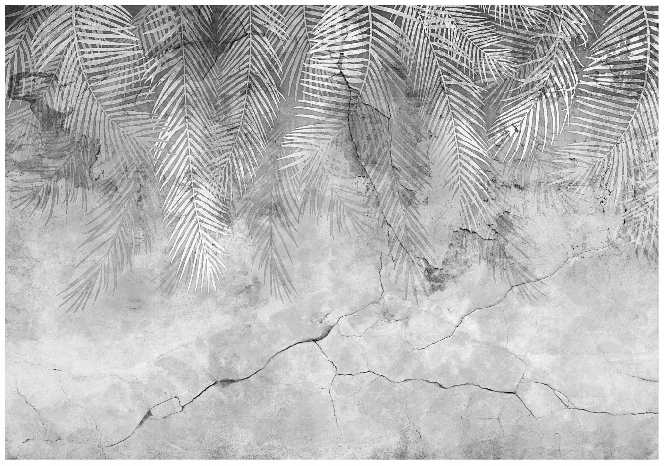 Palm leaves on concrete wall mural for bedroom or living room,