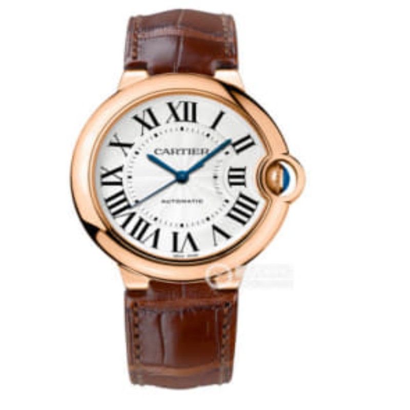 Cartier watch