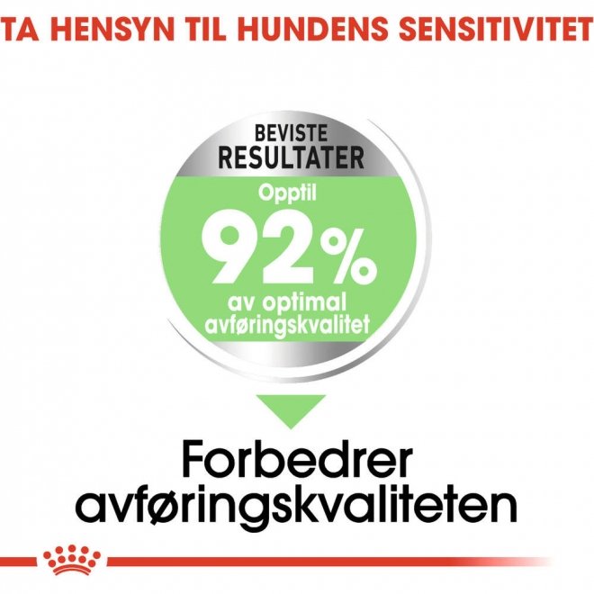 Royal Canin Digestive Care Mini Adult tørrfôr til hund