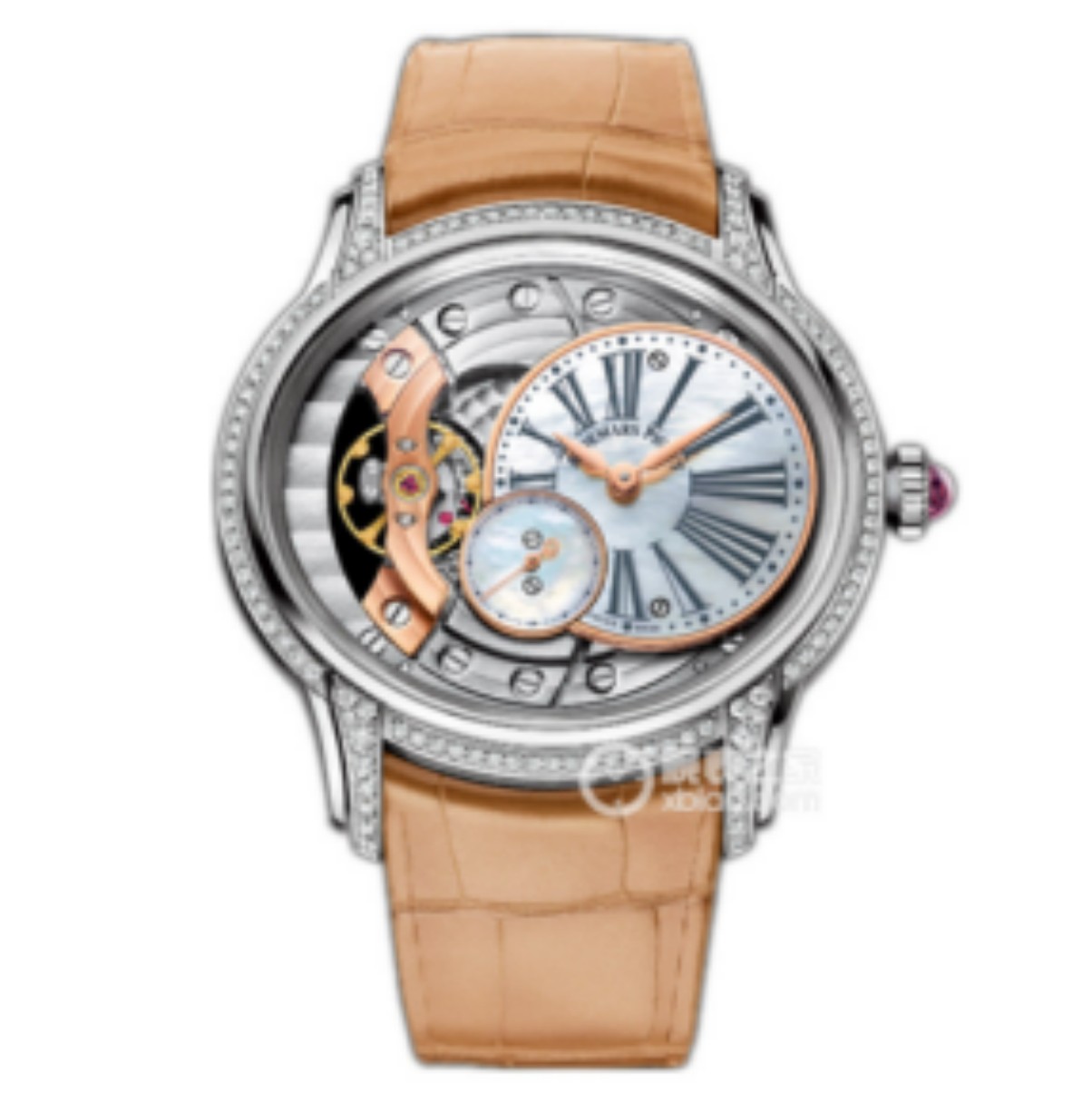 Audemars Piguet Watches