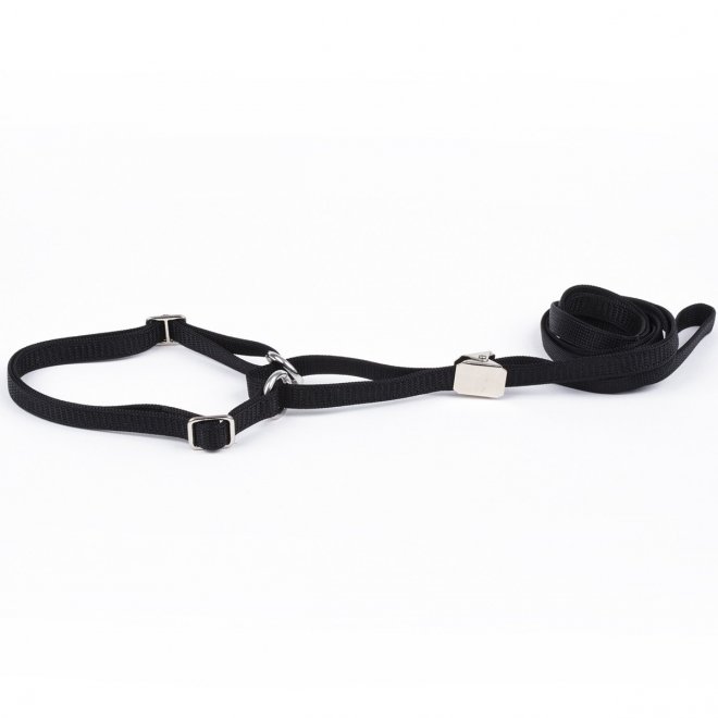 Show Dog Show lead flat halvstrup med klips, Svart
