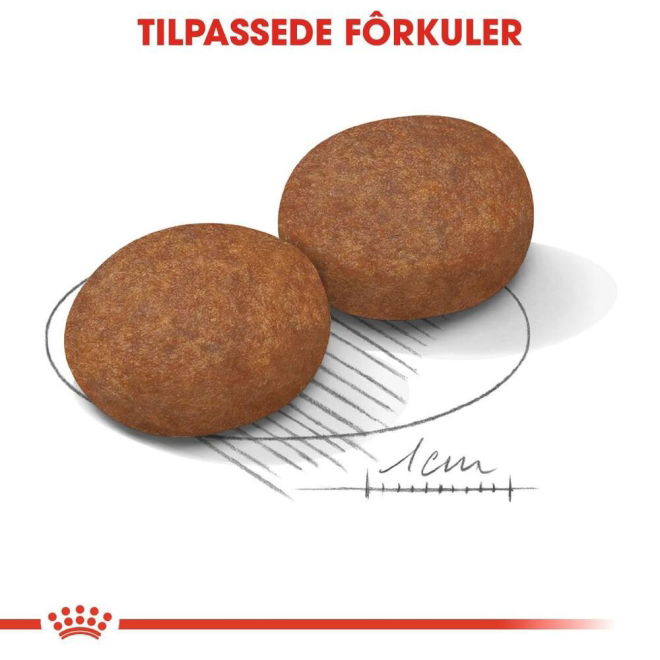 Royal Canin Medium Adult 7+ tørrfôr til hund