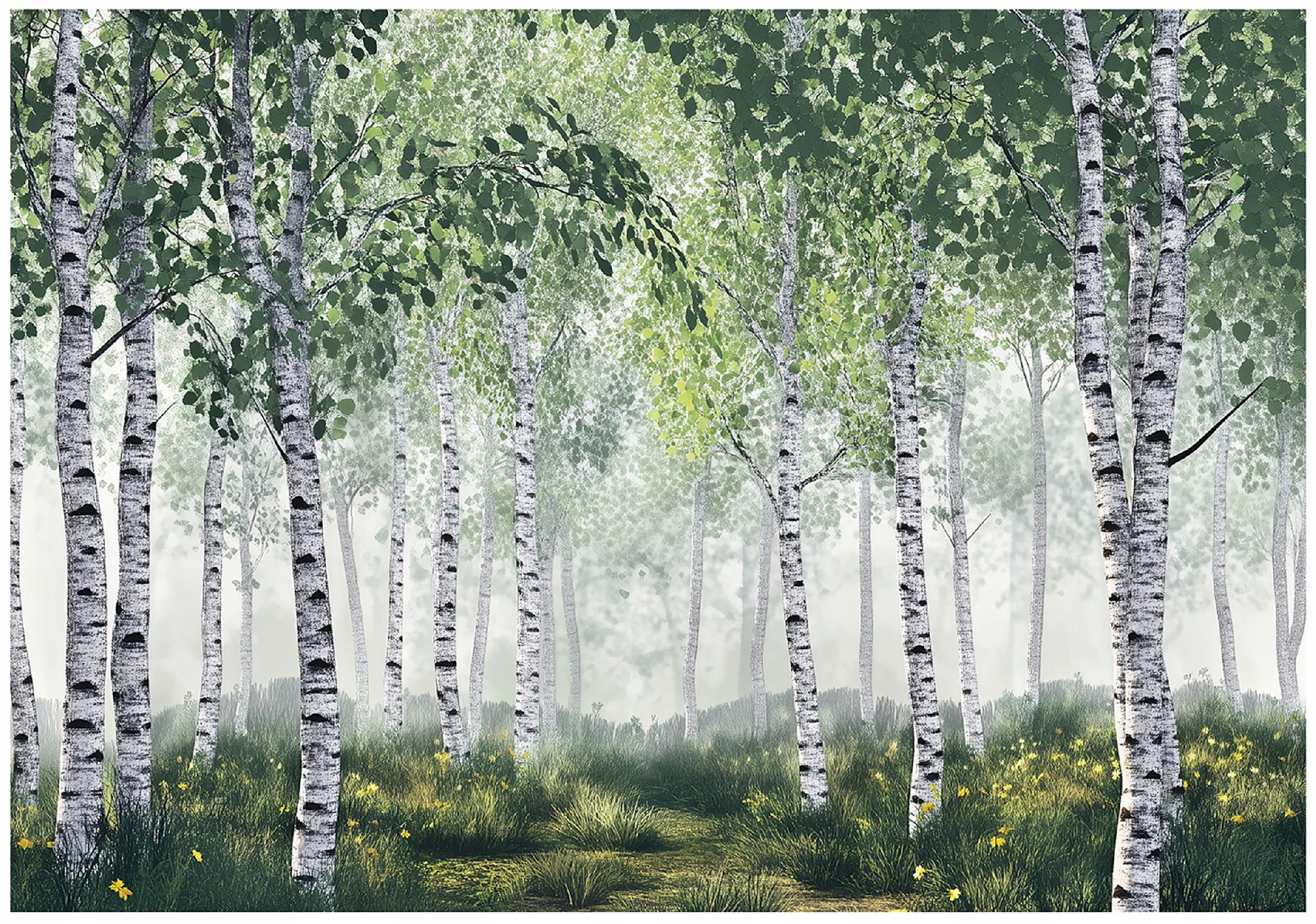 3D wall mural birch forest trees nature for bedroom living room wall
