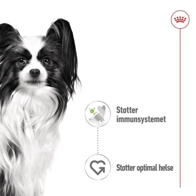 Royal Canin X-Small Adult Gravy våtfôr til hund 12x85g