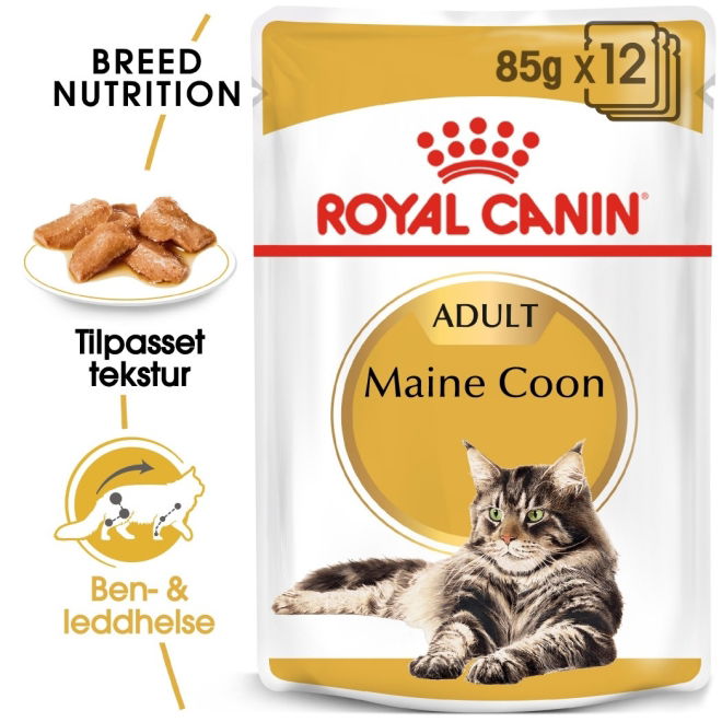 Royal Canin Maine Coon Adult Gravy våtfôr til katt 12x85g