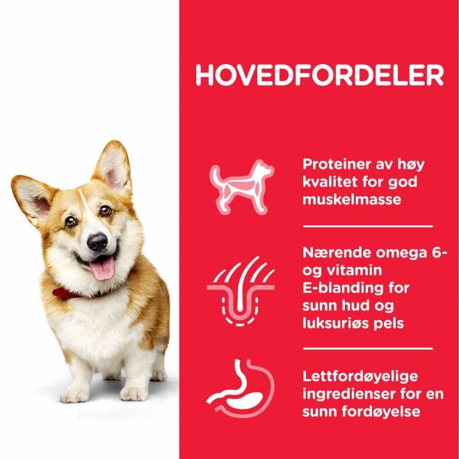 Hill's Science Plan Dog Adult Small & Mini Chicken