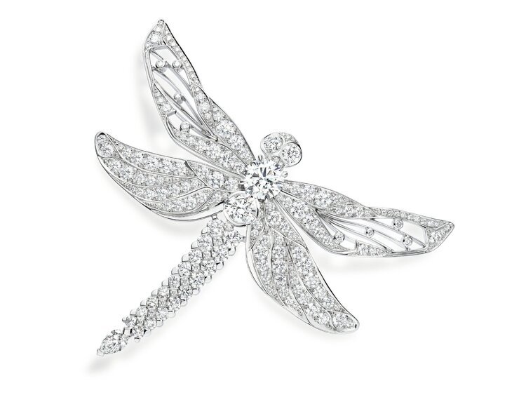 Dragonfly-themed brooch