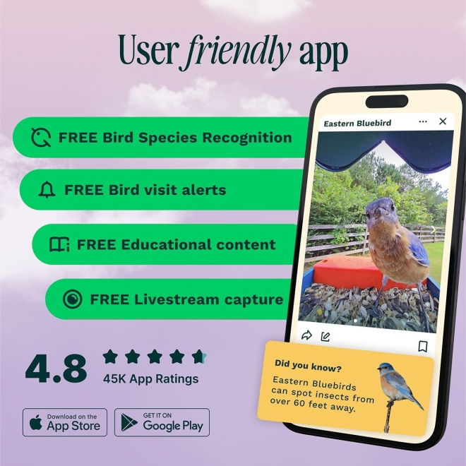 Birdbuddy Fôrautomat med Kamera Blå