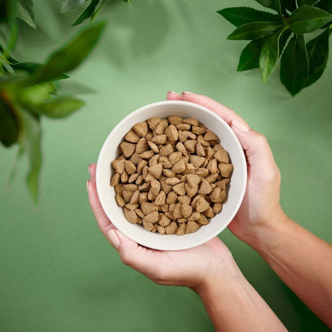 Purenatural Dog Adult Sensitive Salmon